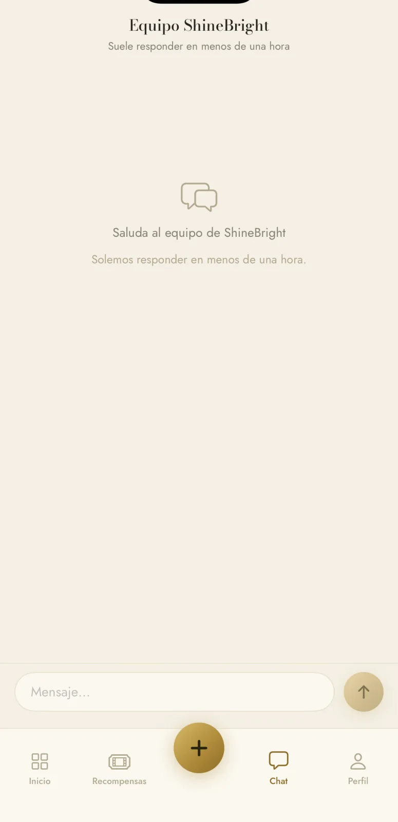 Chat con el equipo